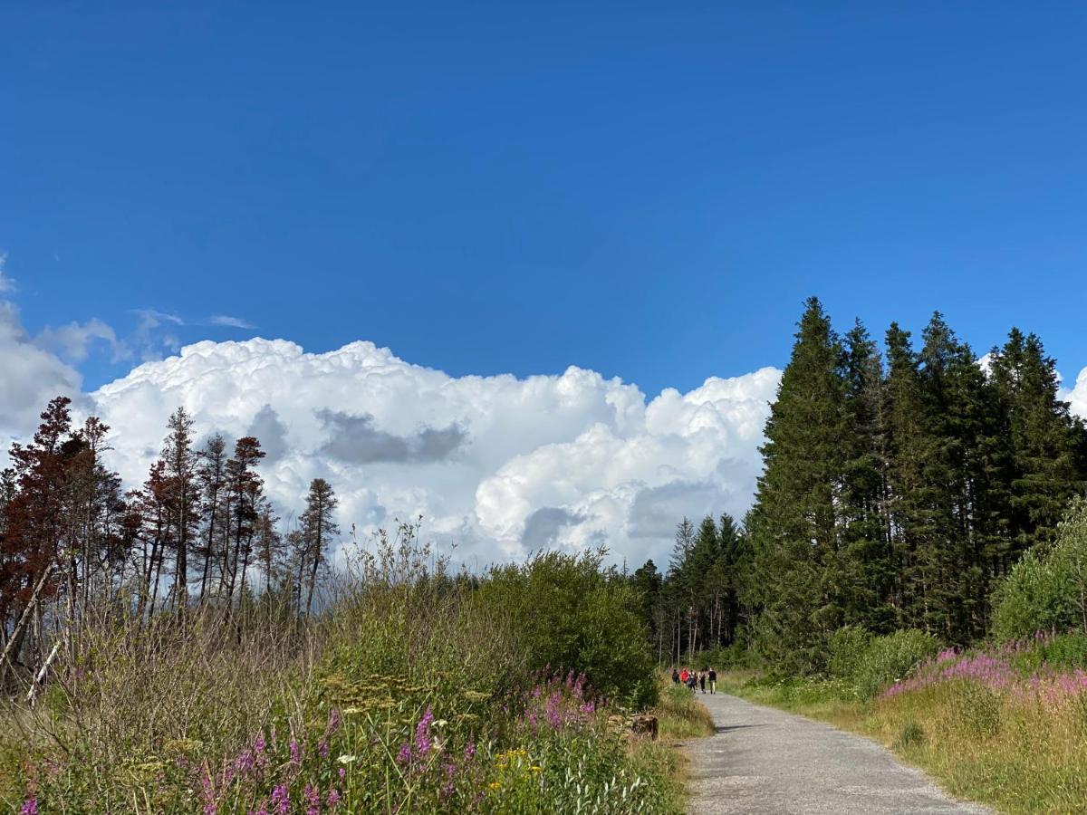 에버데어 The Cwtch, Log Fire, Sleeps 6, Nr Zip World, Brecon And Bike Park Wales 빌라 외부 사진